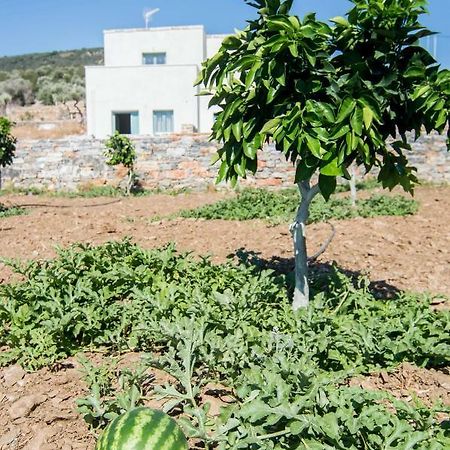Ligaridia Apartments Moutsoúna Dış mekan fotoğraf