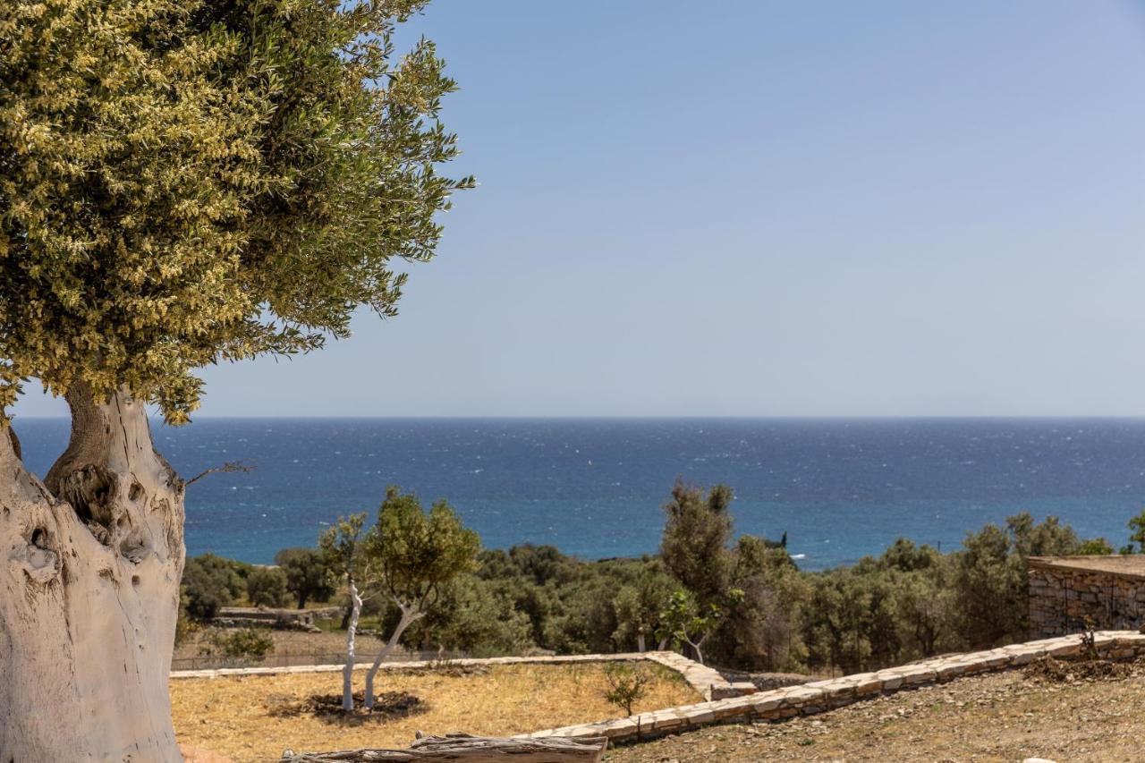 Ligaridia Apartments Moutsoúna Dış mekan fotoğraf