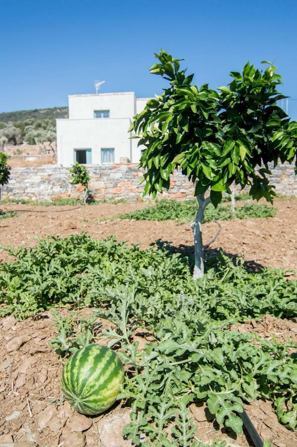 Ligaridia Apartments Moutsoúna Dış mekan fotoğraf